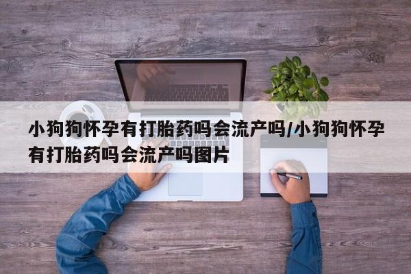 大月份流产药联系方式小狗狗怀孕有打胎药吗会流产吗/小狗狗怀孕有打胎药吗会流产吗图片