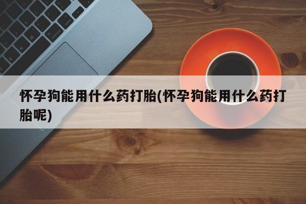 大月份流产药联系方式怀孕狗能用什么药打胎(怀孕狗能用什么药打胎呢)